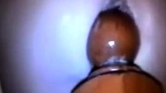 Anal Fun