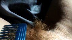 Hairy Redhead