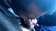 Car Blowjob With Cim