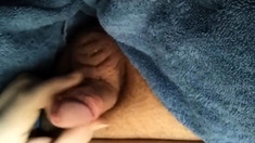i jerk off my small penis and show balls