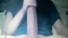 14inch Huge Massive Thick Cock Cam
