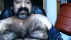 Big Hairy Bear And Hairy Body