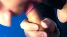 Cum sucker in public wc
