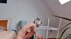 Amateur Blonde Teen Plays Solo with Toy Webcam Porn