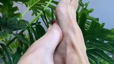 Lezlyan aka la_little_dancer_feet OnlyFans - Good Morning