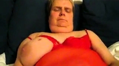 Danishslut 1